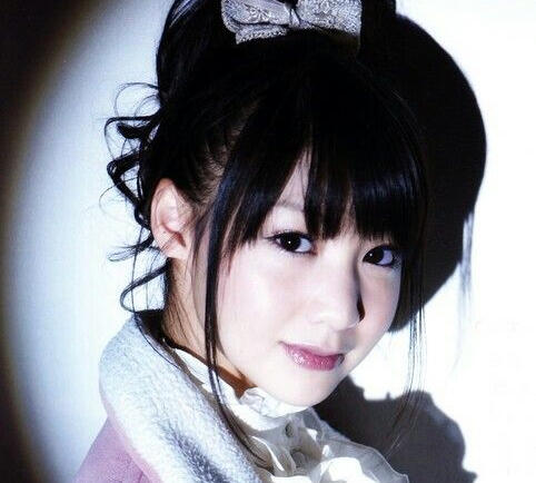 ahim de famille (gokaiger)